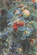 Pomegranates (mk18) John Singer Sargent